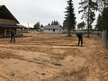 IMG_3379